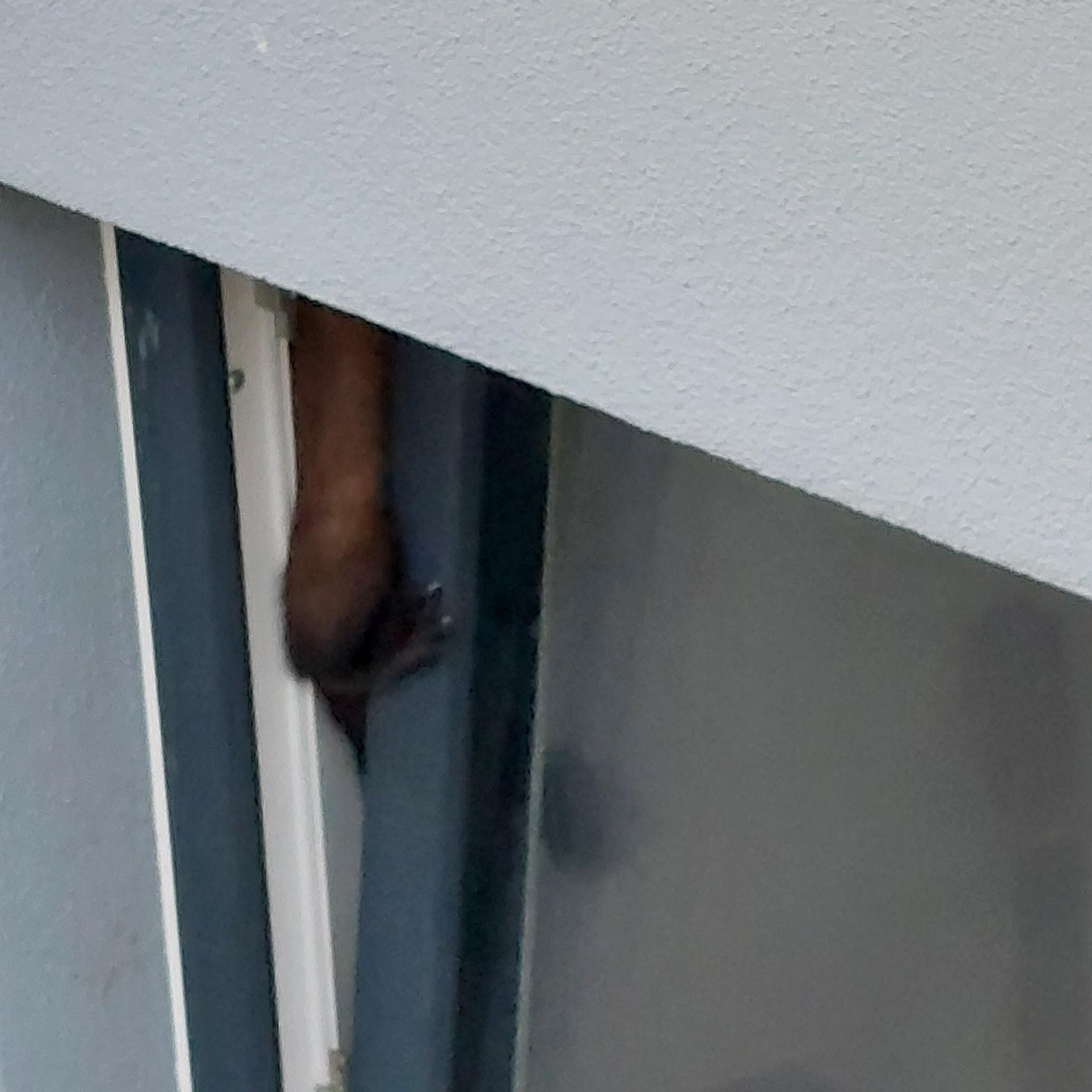 Techn. Hilfeleistung Techn. Hilfeleistung